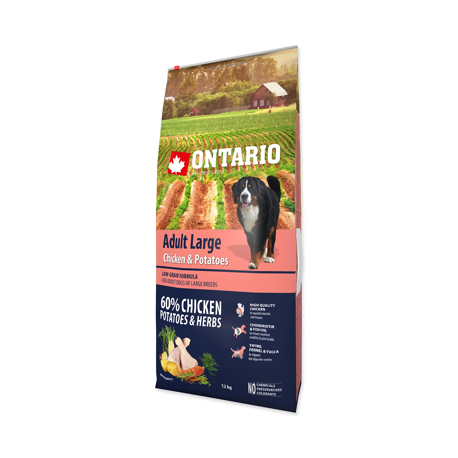 Ontario Adult Large Chicken&Potatoes granule 12 kg