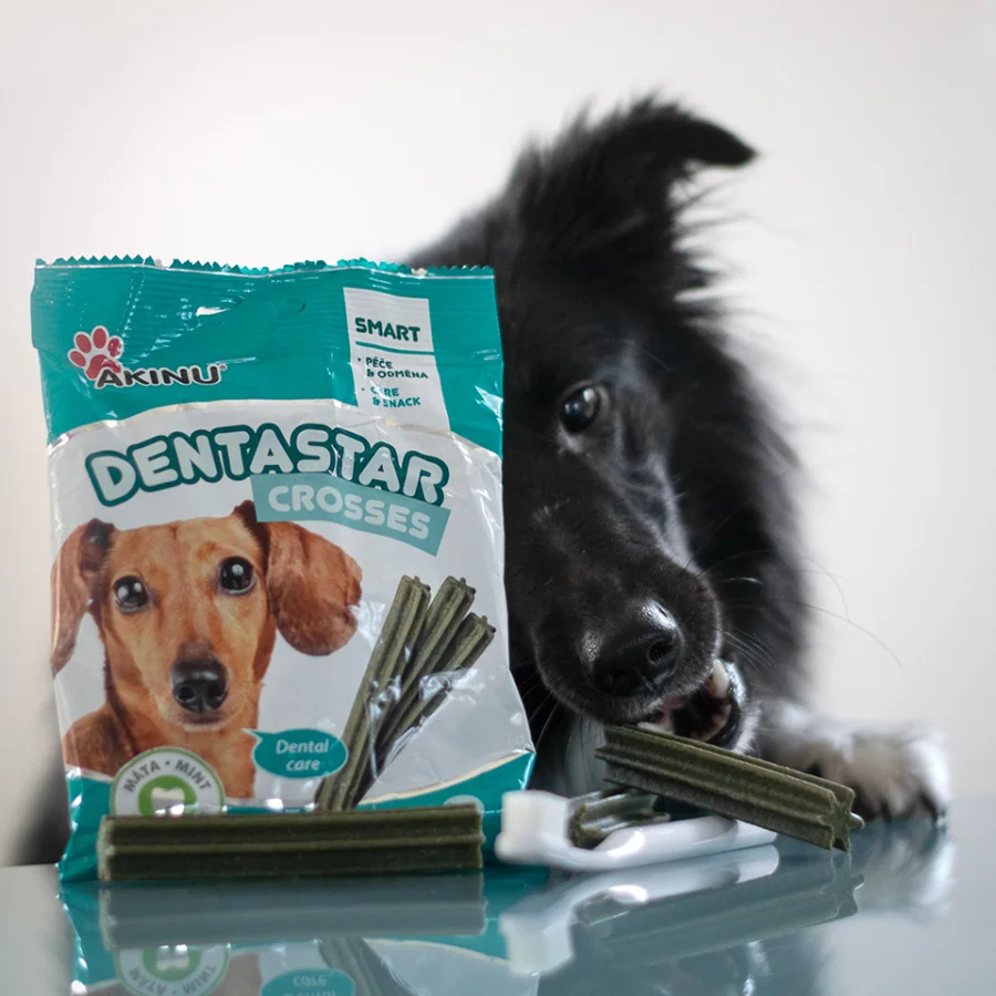 Akinu DENTASTAR Mini pamlsek pro malé a střední psy dentální 110 g 10 x 7 ks 