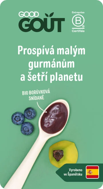 Good Gout BIO Borůvková snídaně 6m+ kapsička 70 g