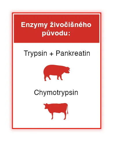 Wobenzym. Enzymy živočišného původu. Trypsin + Pankreatin. Chymotrypsin.