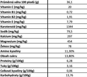 Himalyo Sušené plody GOJI PREMIUM BIO 100 g