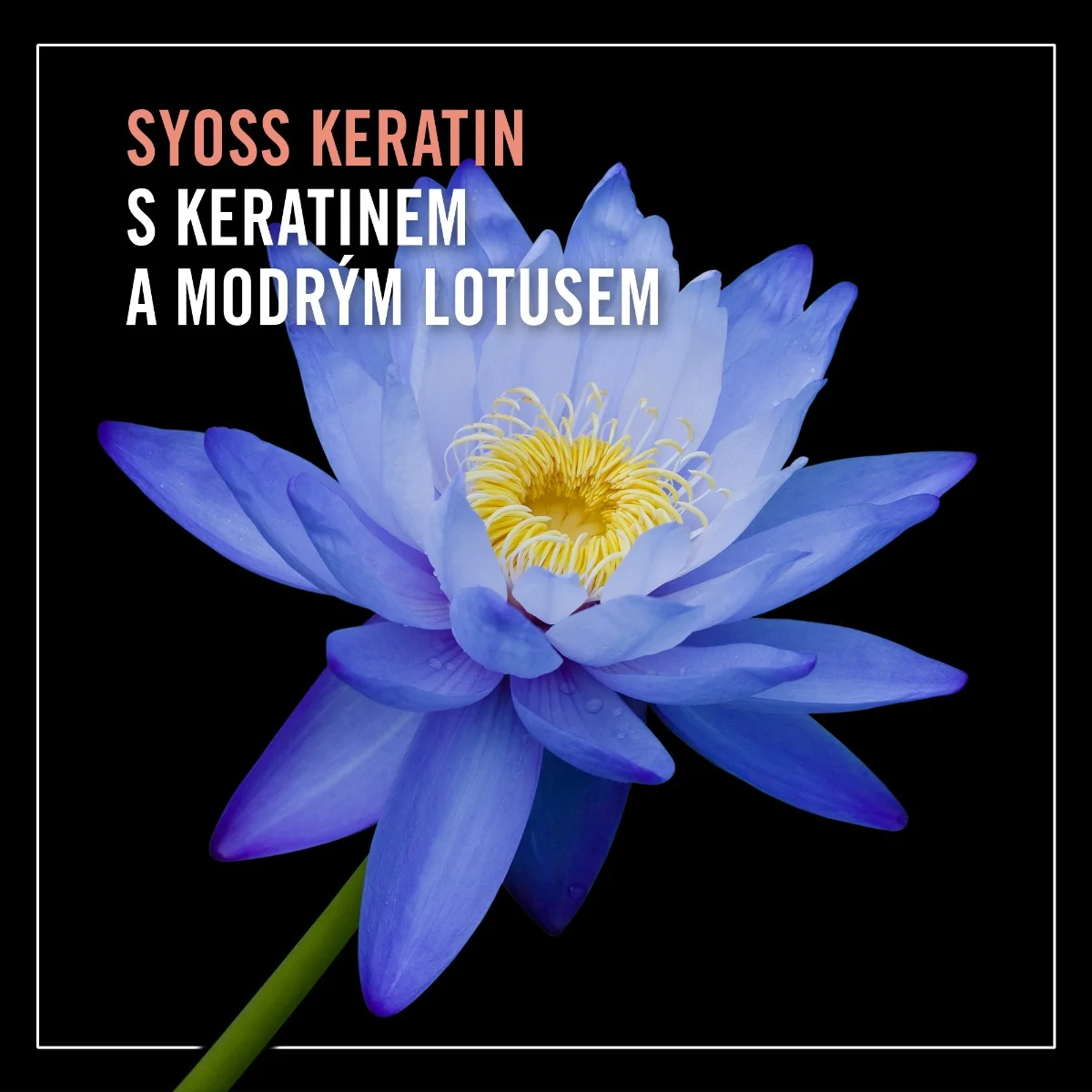 Syoss Keratin intenzivní kondicionér 250 ml