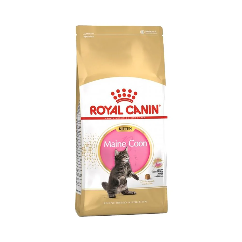 Royal Canin Kitten mainská mývalí kočka granule 10 kg