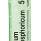 Boiron KALIUM PHOSPHORICUM CH5 granule 4 g