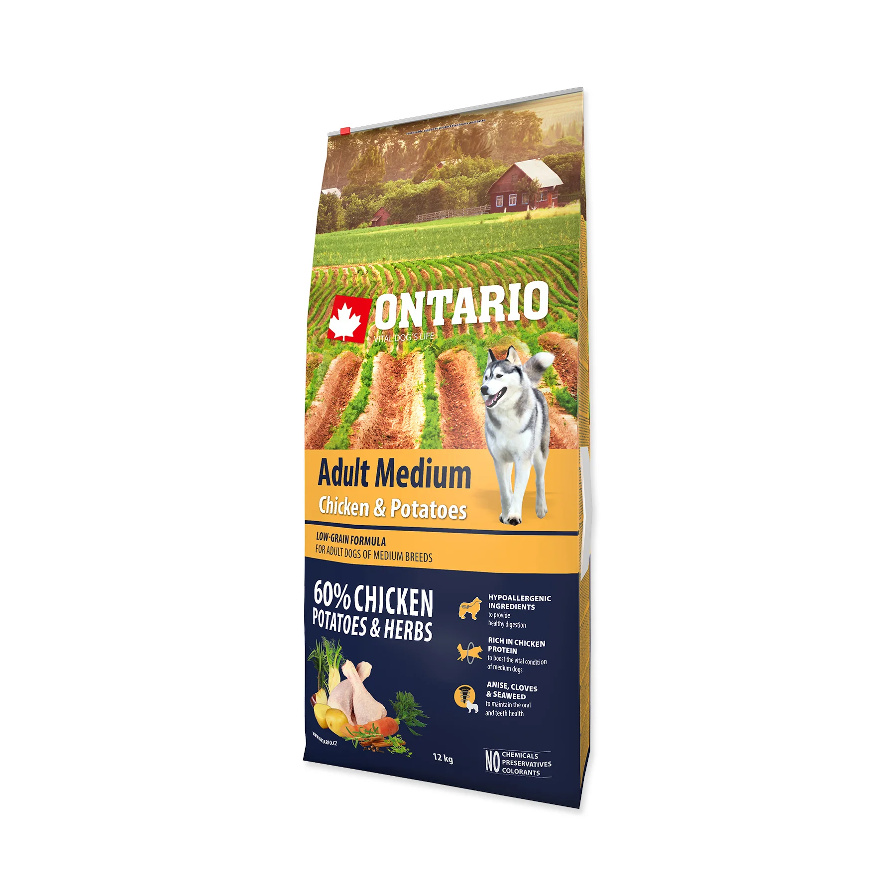 Ontario Adult Medium Chicken&Potatoes granule 12 kg