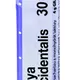 Boiron THUYA OCCIDENTALIS CH30 granule 4 g