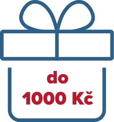 Dárky pro děti do 500 Kč